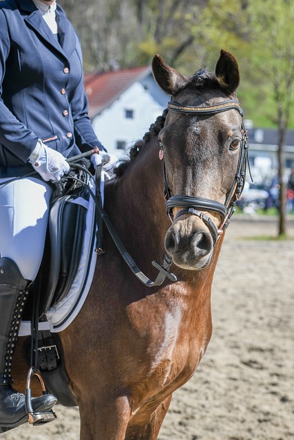 赛淬炼出来 赛淬炼出来