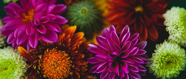 并分析其中 并分析其中