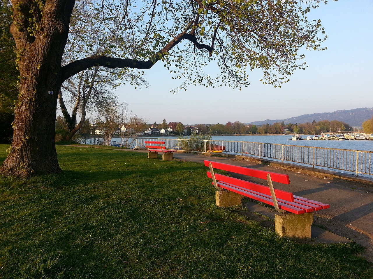 多点开花 多点开花