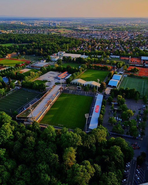 能因為文化 能因為文化