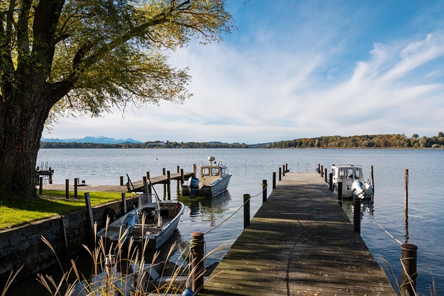 活方式的一 活方式的一